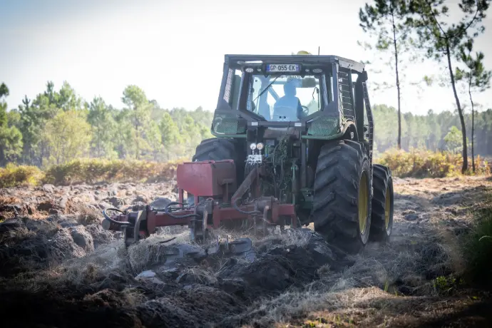 Préparation du sol en forêt pour une gestion sylvicole durable – ARGEFO Tracteur forestier effectuant un travail de préparation du sol dans une parcelle sylvicole en Nouvelle-Aquitaine, avec une forêt de pins en arrière-plan.